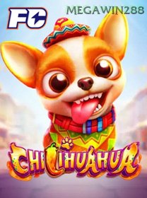 Chilihuahua